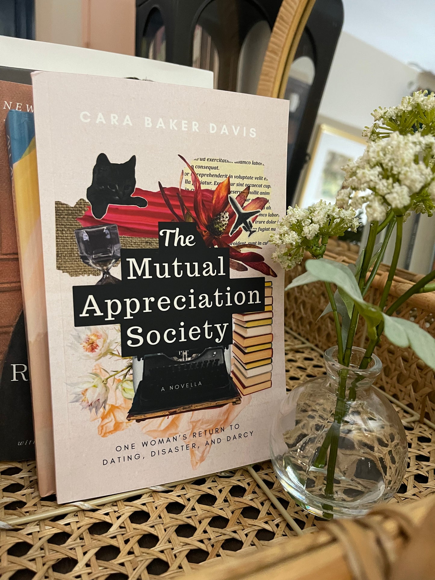 The Mutual Appreciation Society (Novella by Cara Baker Davis)